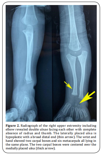 Figure 2.  